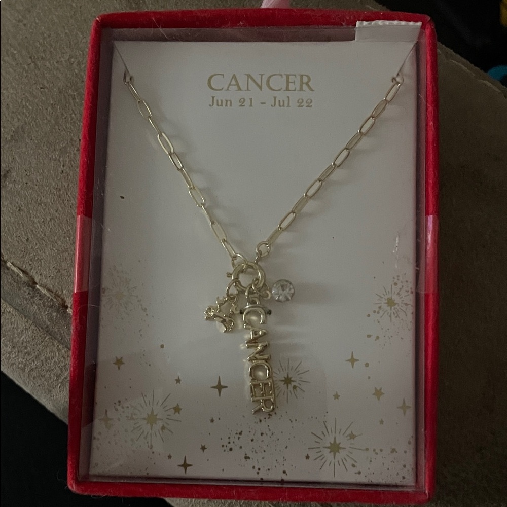 Gold Cancer Zodiac Necklace with Charm